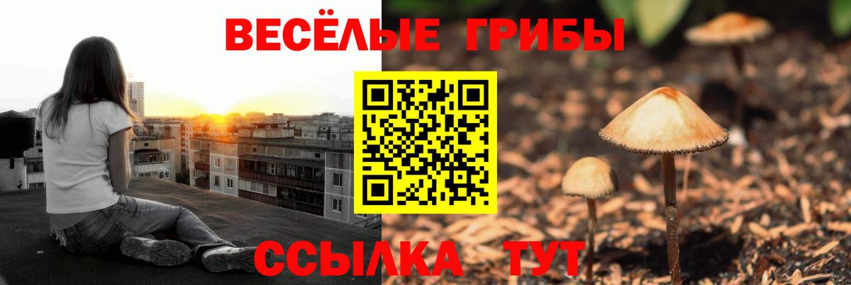 магазин продажи наркотиков  Вход с VPN  Сорочинск  Галлюциногенные грибы GOLDEN TEACHER 